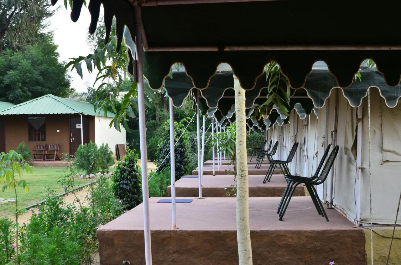 The Narayan Resort Farm Stay Pushkar Luaran gambar